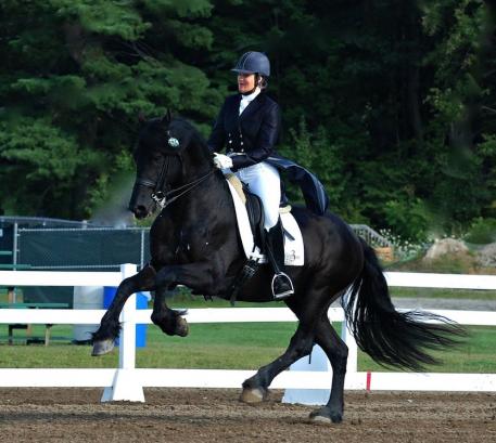 Friesian stallion, Thys shows off the canter that helped him win the High Score FEI at the Vermont Dressage Days show with trainer, Liz Austin.  (photo credit Amelia Clairmont)  