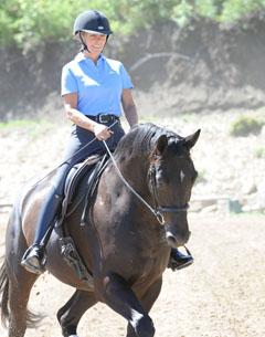 Linda Parelli, Equine Emotional Fitness specialist