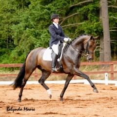 Dantino HW is currently offered for sale through HW Farm