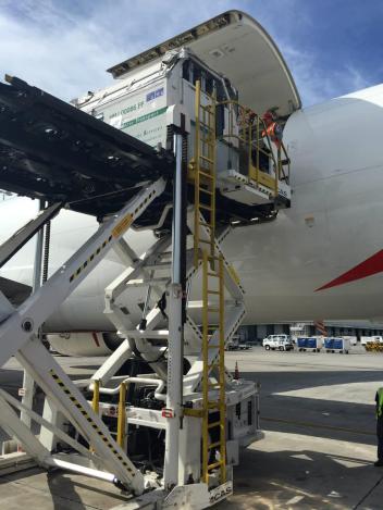 The Air Stables are unloaded. (Photo: Peden Bloodstock)