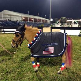 Peeps as the Nations Cup Mascot at WEF