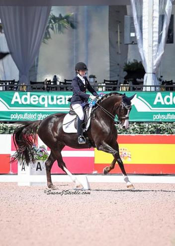 The 2018 AGDF season will feature two CPEDI 3* competitions and seven CDIs as riders look to qualify for the FEI World Equestrian Games™ Tryon 2018 to be hosted in September of 2018. 