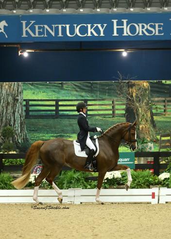  Alice Tarjan & Elfenfeuer on their way to winning the Grand Prix Adult Amateur Championship 