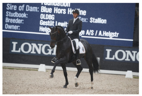 Andreas Helgstrand with the Oldenburg stallion Ferrari Old