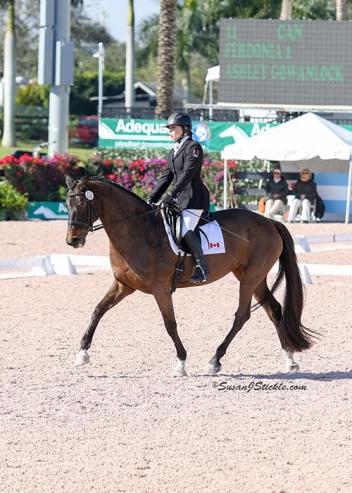 Ashley Gowanlock, Ferdonia 2, CPEDI, Para Dressage Team
