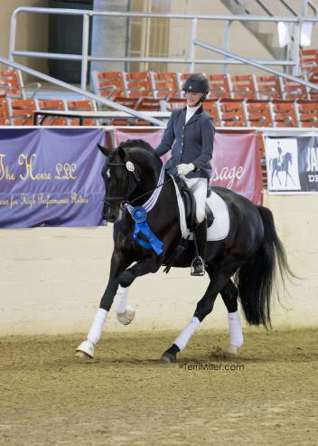 Gaspard De La Nuit DG, Ashlyn De Groot, CDS/Interactive Mortgage Five-Year-Old Open Futurity