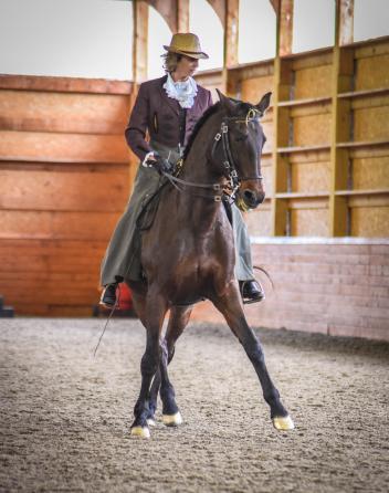 hose who attended the APAHA Teaching Workshop were treated to the gift of a musical ride by Bettina Drummond and her “retired” 23-year-old Lusitano mare “Mimi.”