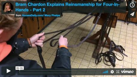 Watch the Video - Bram Chardon 4-in-hand Reinsmanship part 2