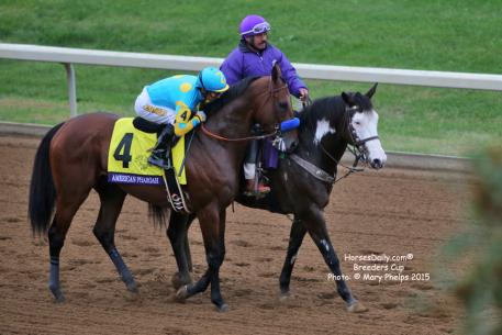 Victor Espinoza gives American Pharoah his last pat before his last race. 