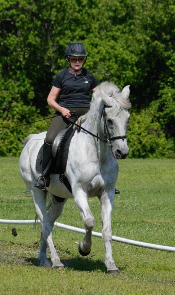 Olwen Busch, a former member of the Northeast Florida Equestrian Society Board of Directors,