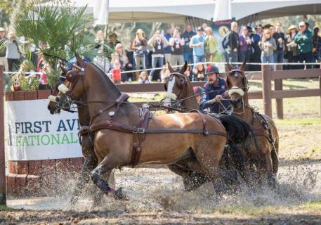 Chester Weber at the 2016 Live Oak International