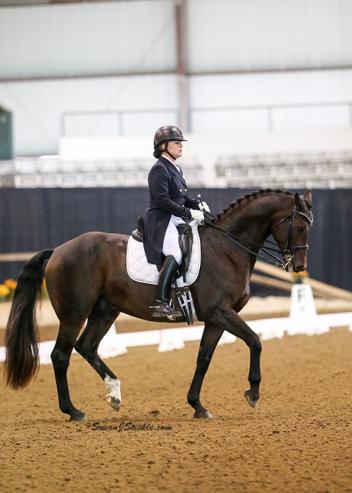 Christy Raisbeck and Herslev Mark's Mister B captured the GAIG Reserve Championship in the Intermediaire II