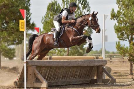 David Adamo and Rockstar are Four-year-old Young Event Horse Reserve Champions.