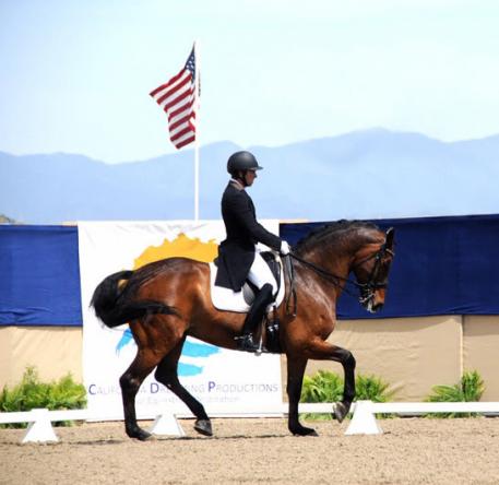 David Blake wins the Custom Saddlery MVR Award at the Las Vegas High Roller CDI-W