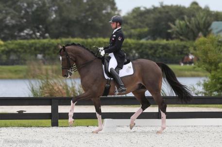 David Marcus and Binjora competing at the Gold Coast Summer Solstice show. 