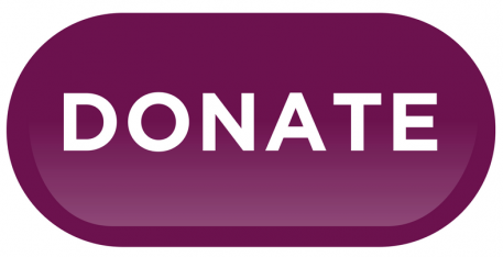 Donate to Equestrian Aid