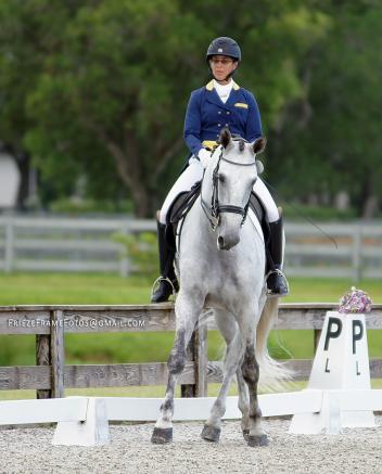 Carmen Franco riding Donatello DC, a 7-year-old Lusitano gelding from Mexico (Niquel II – Soledad Mor, Zico). He’s showing Prix St. Georges and schooling piaffe and passage. Photo by Shaana Risley.