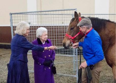Her Majesty The Queen joins The Duchess as Her Royal Highness hosts a horsemanship demonstration by Brooke Ambassador Monty Roberts at the Royal Mews.  