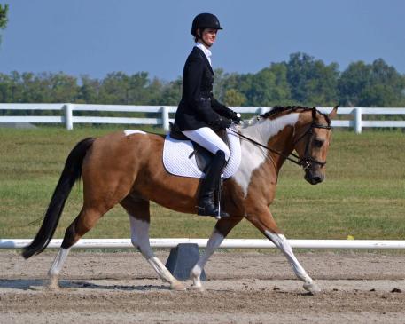 Ellen Murphy & Crunch N Munch trotted to victory at the National Dressage Pony Cup. (Photo: Jennifer M. Keeler)