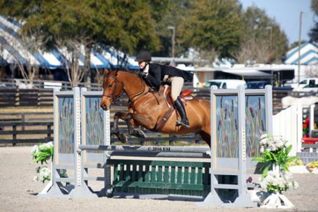 Emily Noble and Claudio on their way to a ,500 Platinum Performance Hunter Prix win. 