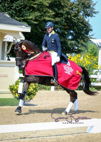  Custom Saddlery MVR Endel Ots won the Reserve Champion title in the Developing Horse Prix St. Georges at the 2017 Markel/USEF Young & Developing Horse Grand Prix National Championships