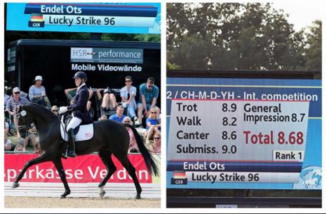 Endel Ots and Lucky Strike at FEI World Breeding Championships for Dressage Young Horses