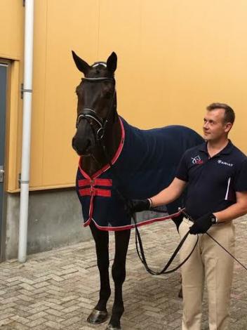 Endel Ots, Lucky Strike, Ermelo, World Championships of Young Dressage Horses