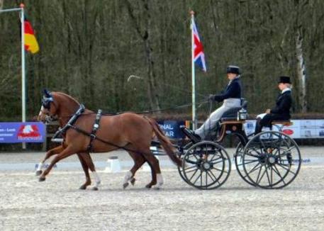 Kathi Dancer in Ermelo, NED competing Redfors and Joop van den Bruel in the dressage phase.