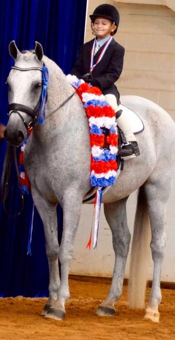  Ethan Yeager aboard Zerbino Interagro won the Exhibition Leadline Class Riders 8 Years Old and Under class at the 2015 IALHA National Championship Show