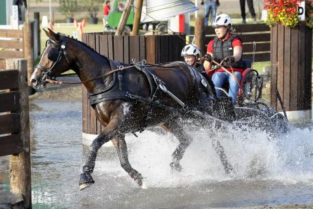 Anika Geiger (GER) was the runner-up in the marathon of the Young Drivers Single Horse class and won gold thanks to her dressage victory and good cones round (Photo: FEI/dr. Jürgen Schwarzl)  