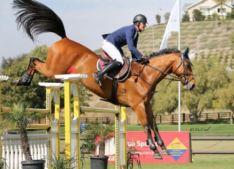 Harley Brown and Apex