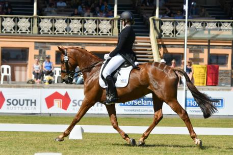 Hazel Shannon (AUS) riding Clifford