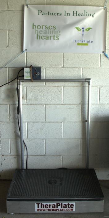 The human TheraPlate therapy platform at Horses Healing Hearts 