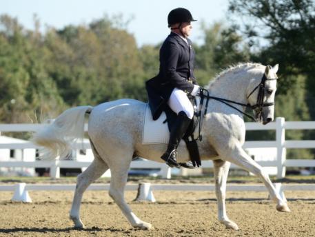 Billy Jackson and Janie Pride’s Dutch Pony Ilja