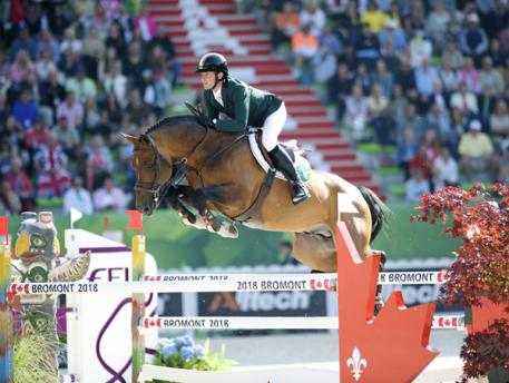 Imothep, Belgian Warmblood Elite, KWPN Crown Erkend Stallion, RPSI, Stallion Service Auction, 2016