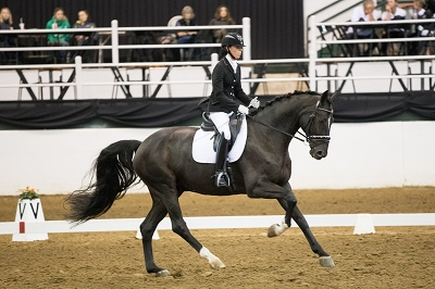 Kate Shoemaker and Solitaer 40  