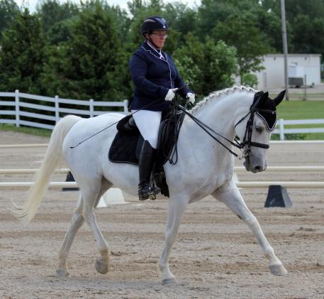 Kate Phillips her Lipizzan gelding Neapolitano Gloria