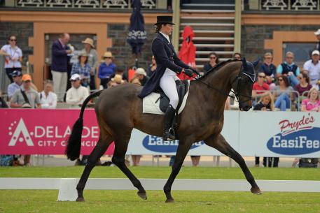 Successful Victorian rider , breeder and trainer, Katja Weimann has been working on her dressage with her home bred, 'BP Flamboyant' and it has clearly worked. The Triathlete gelding produced one of his best tests, according to Katja, the "best ever" to hold second place at the end of day one with 49.10.