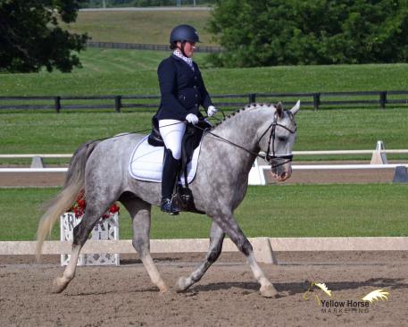 Kathryn Barry, North American Sport Pony, Magnum