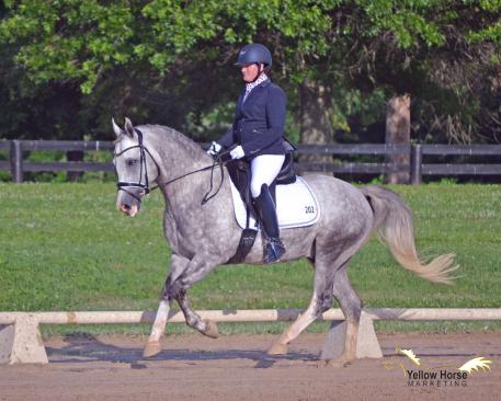North American Sport Pony, Magnum, NDPC Five-Year-Old Born in the USA award, Futurity Reserve Championship, Kathryn Barry