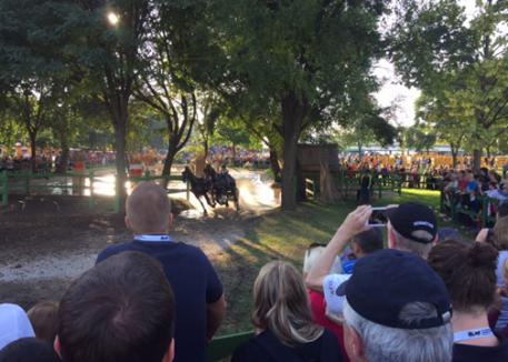 Large crowds for the marathon FEI World Pairs Driving Championships, Fabiansebestyen, Hungary 2015