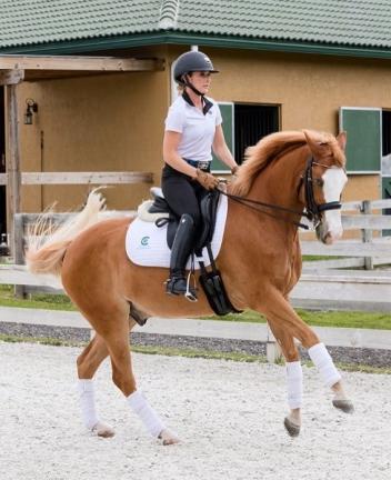 Micah Deligdish and “Vegas” will travel all the way from south Florida to compete at Third Level and Freestyle at this year’s Pony Cup in Illinois. (Photo: Deligdish)