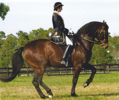 Bettina Drummond, founder of APAHA, with her Lusitano mare Granada du Plessis. 
