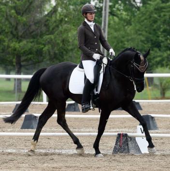 My Way RSW, owned by Theresa Schnell, debuts at Lamplight in the Five-Year-Old Division. (Photo: Theresa Schnell)