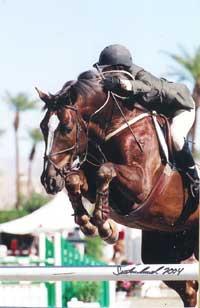 Osophia's sire Osilvis, ridden first by Julie Winkel, shows the scope and athleticism he passes on to both jumper and hunter offspring.