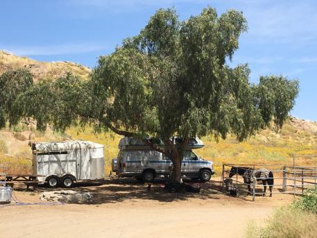 Horse camping with new endurance friends in Lake Perris, California.