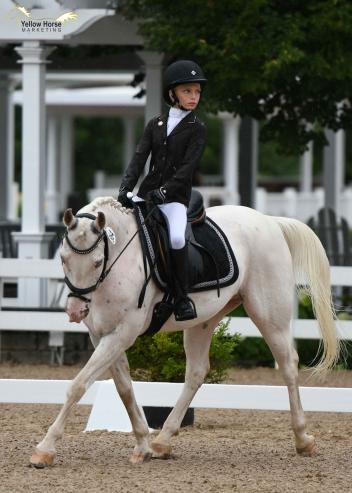 Riders like 12-year-old Santina Hackett of Argyle, Texas, shown here aboard her POA gelding Robin Hood, had their eyes on the prize on the first day of intense competition at the 2018 National Dressage Pony Cup & Small Horse Championships.  Photo by Jennifer M. Keeler.