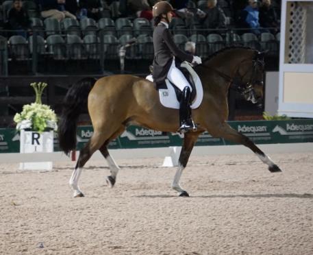 PJ Rizvi and Breaking Dawn ompeting under the lights during week 3 at Adequan Global Dressage Festival
