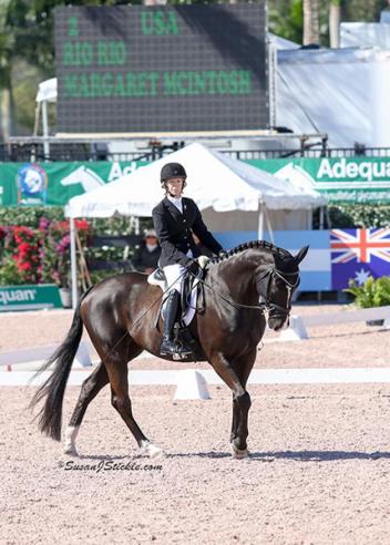Rio Rio - Paralympic Dressage mount SOLD through HorsesDaily's HorseMarket - twice! List your horse now!