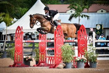 Rufus de Violaines, who scored two Classic victories with Emanuel Andrade, was named the Medium Amateur-Owner Circuit Champion at the 2016 Winter Equestrian Festival. 